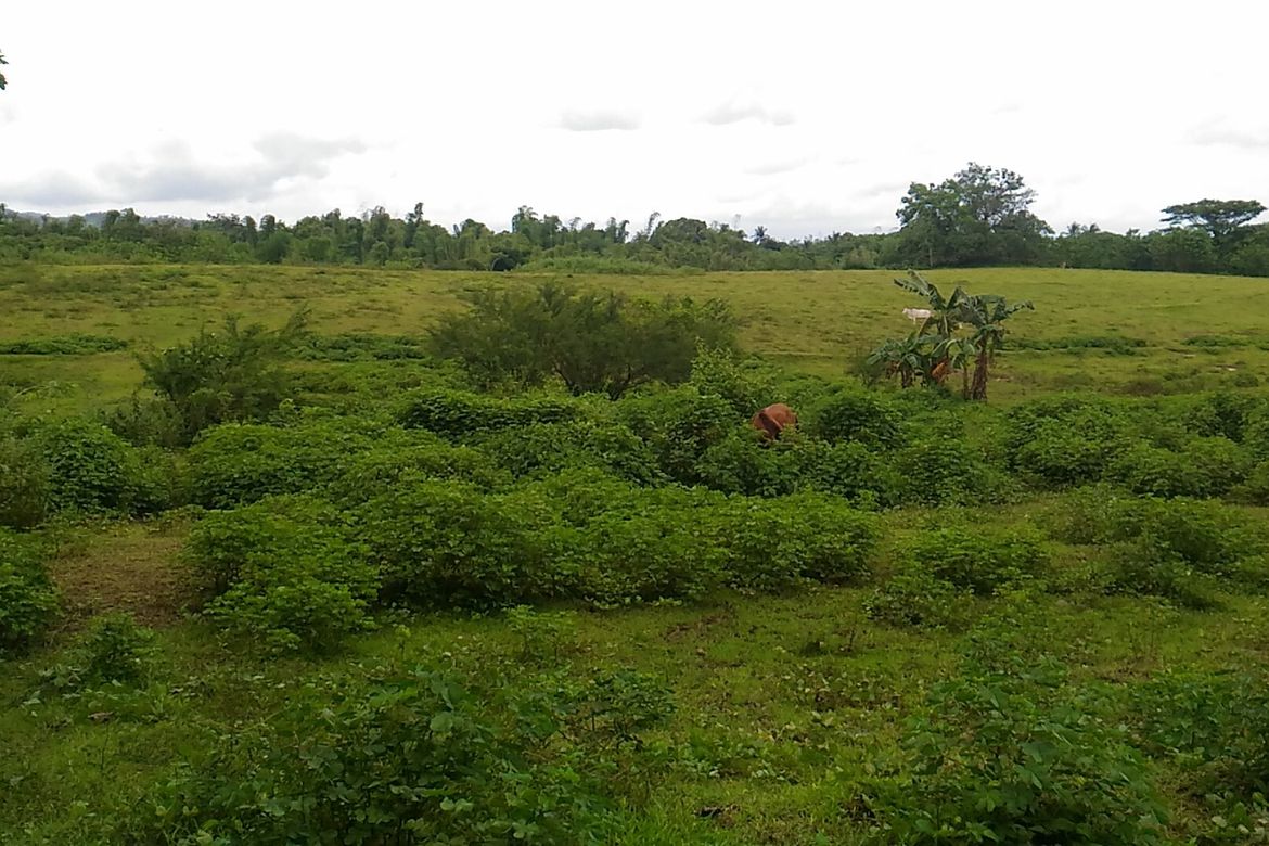 Land for Sale in Timalan Balsahan, Naic, Cavite