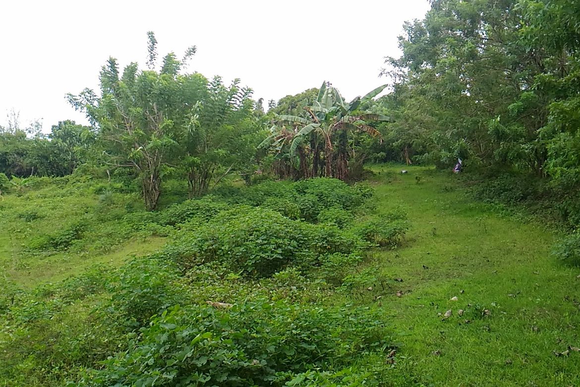 Land for Sale in Timalan Balsahan, Naic, Cavite – photo 2