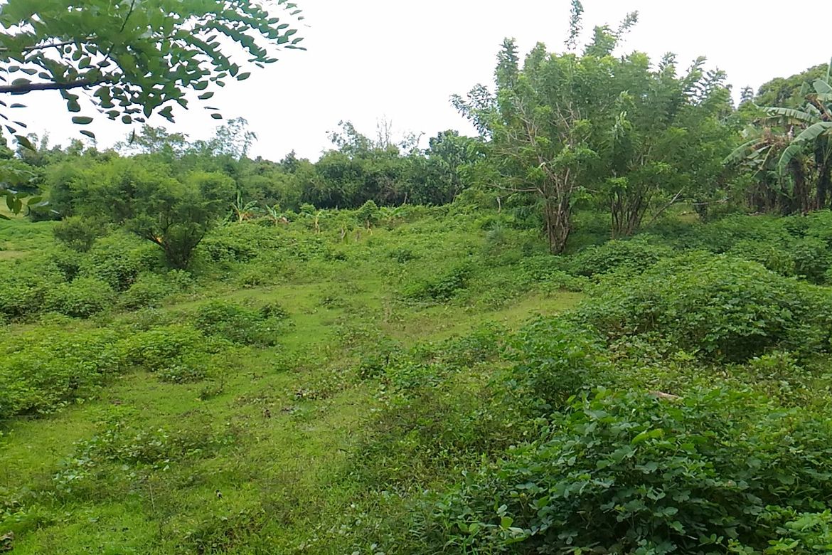 Land for Sale in Timalan Balsahan, Naic, Cavite – photo 3