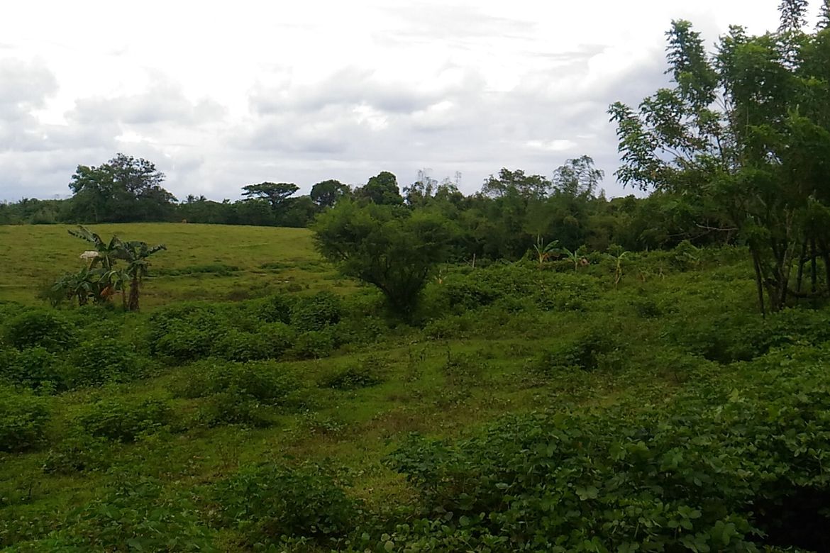 Land for Sale in Timalan Balsahan, Naic, Cavite – photo 4
