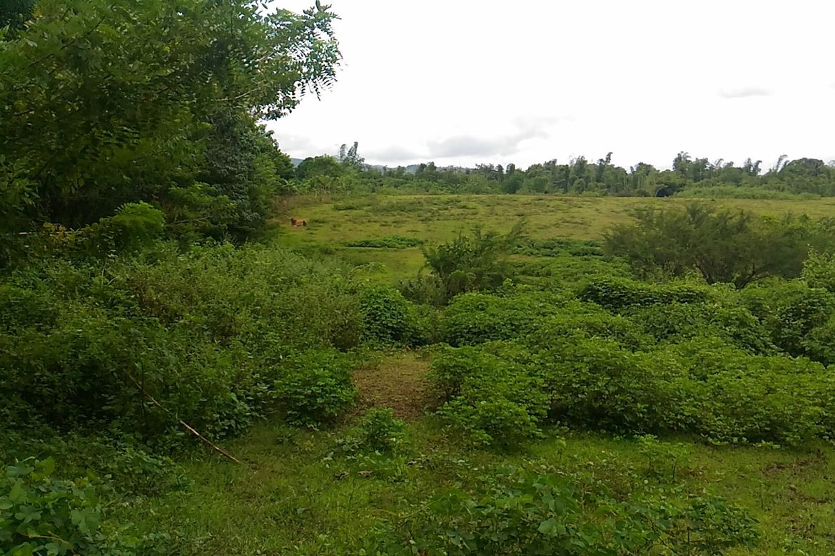 Land for Sale in Timalan Balsahan, Naic, Cavite – photo 5