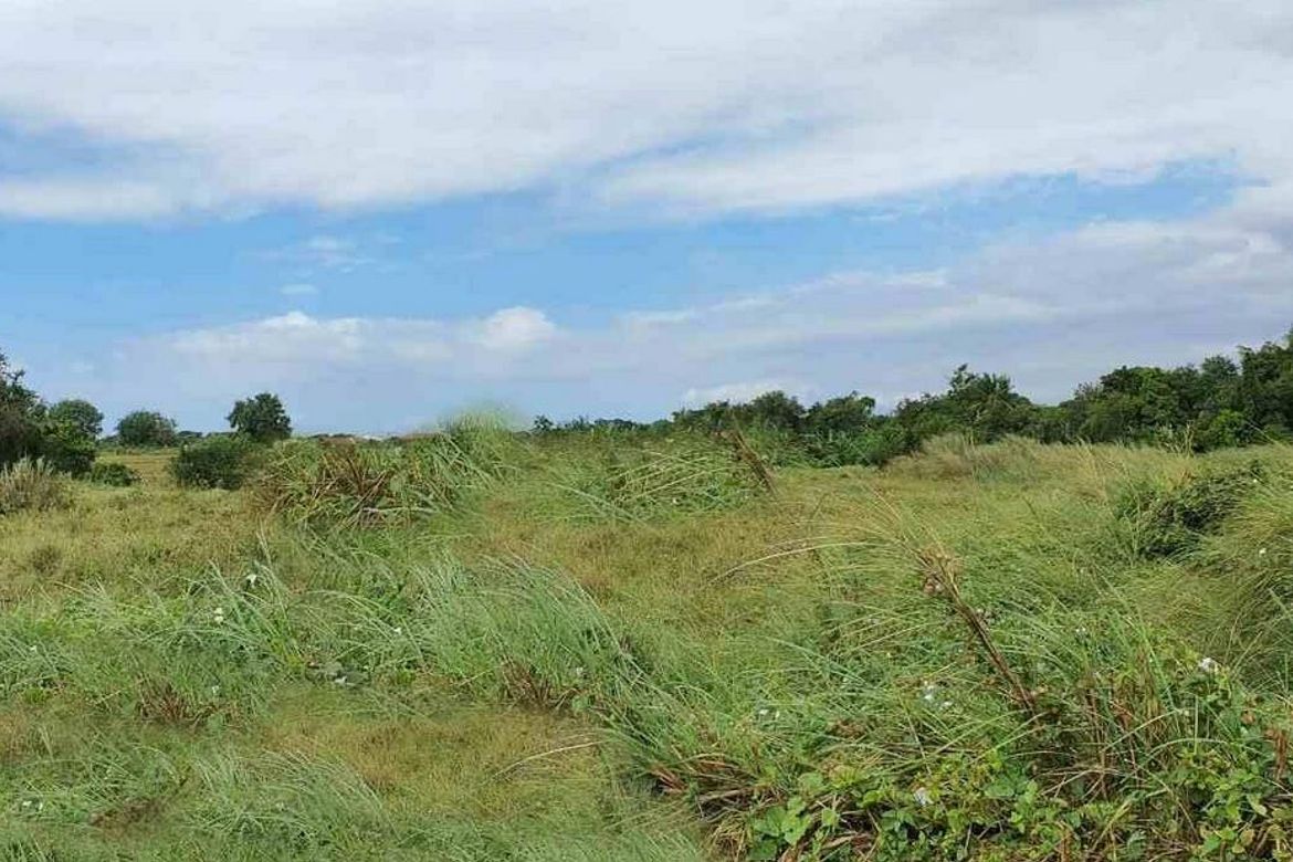 Land for Sale in Timalan Balsahan, Naic, Cavite