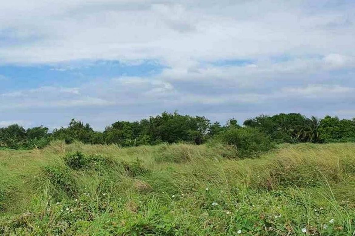 Land for Sale in Timalan Balsahan, Naic, Cavite – photo 2