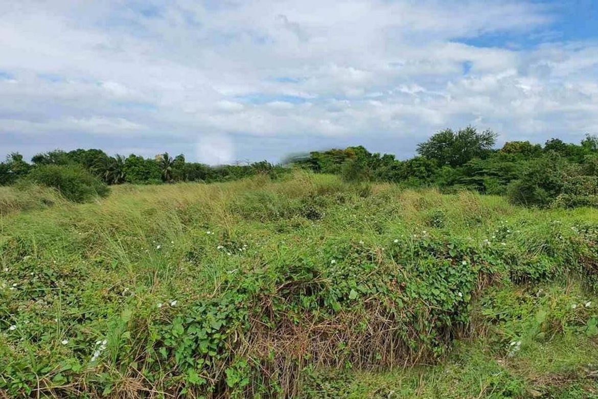 Land for Sale in Timalan Balsahan, Naic, Cavite – photo 3
