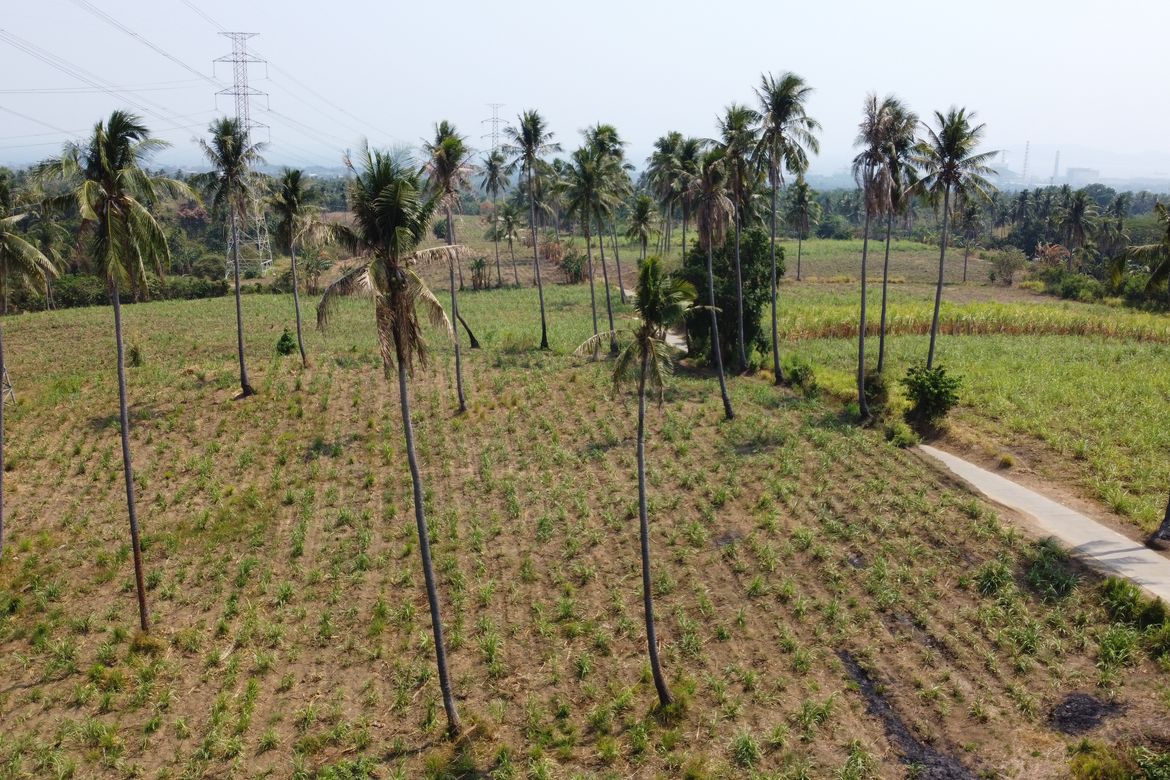 Land for Sale in Timbain, Calaca, Batangas
