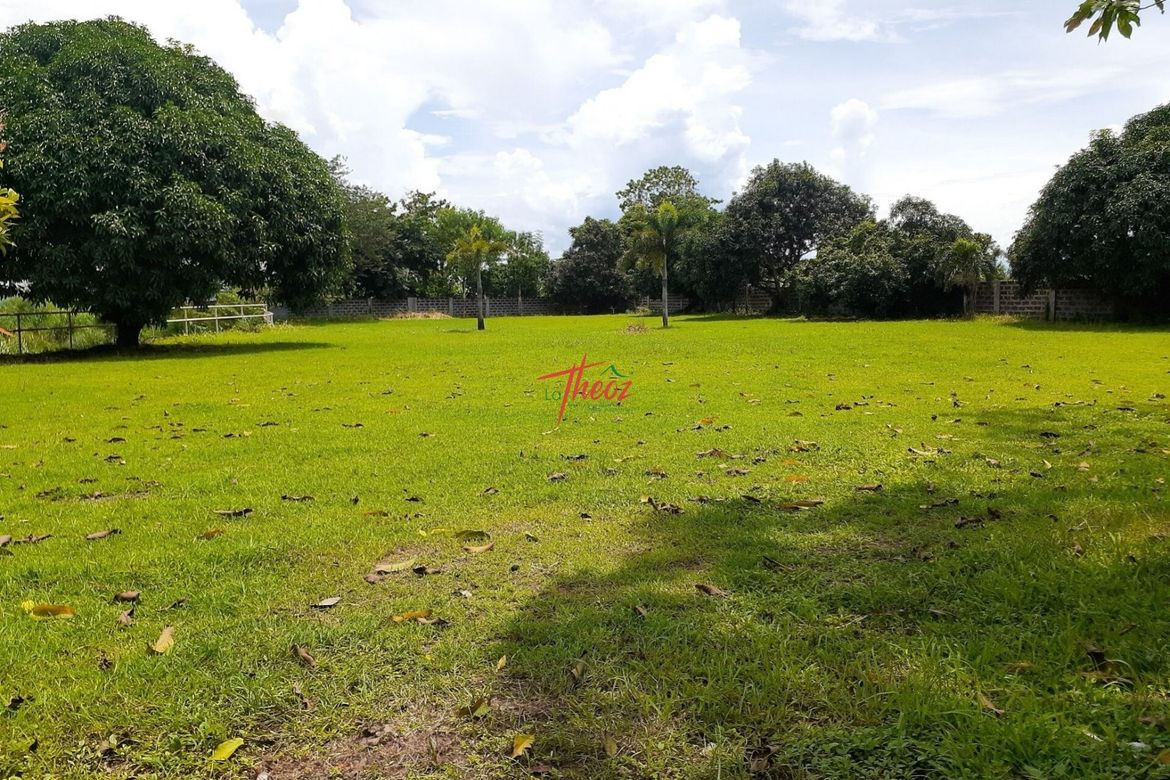 Land for Sale in Timbao, Biñan, Laguna