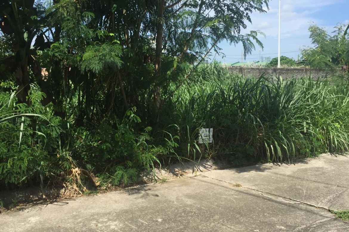 Land for Sale in Timbao, Biñan, Laguna