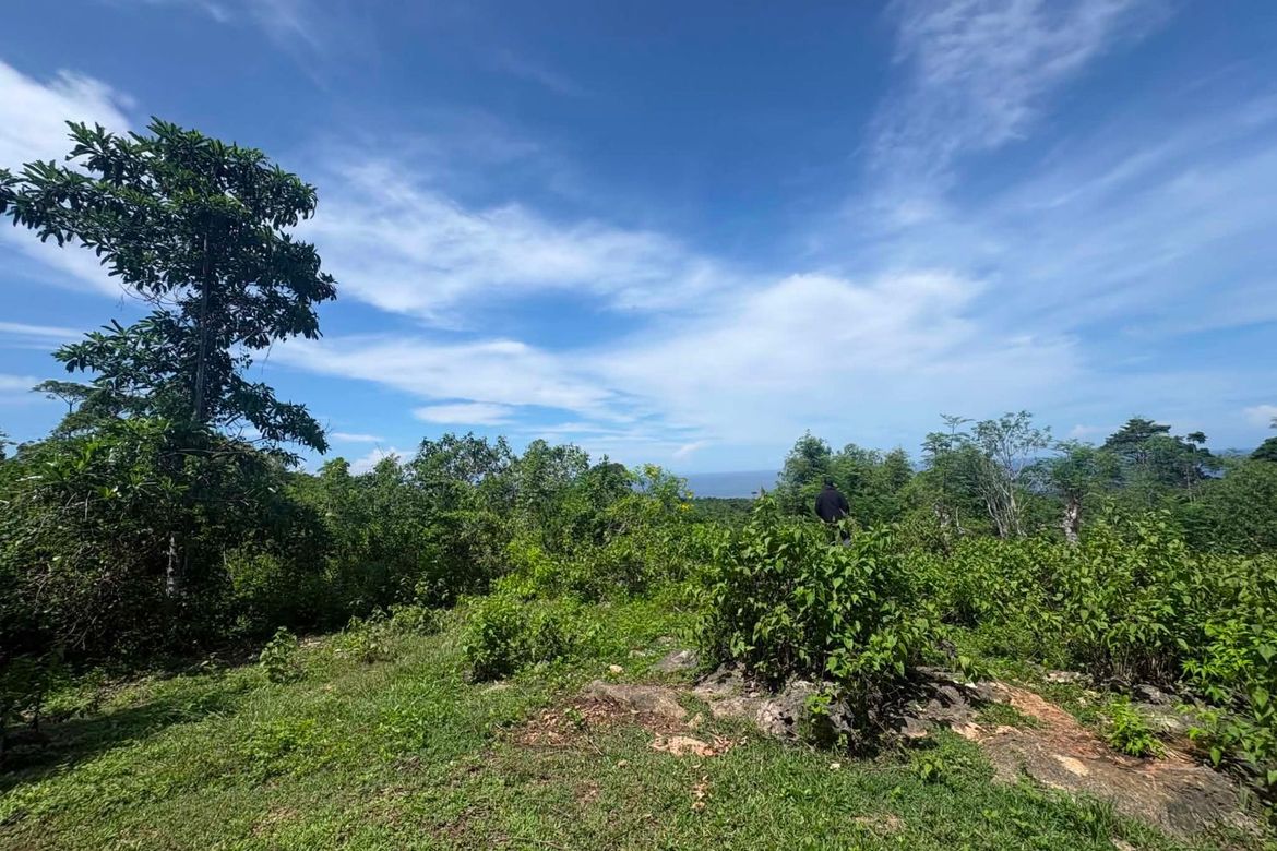 Land for Sale in Timbaon, San Juan, Siquijor