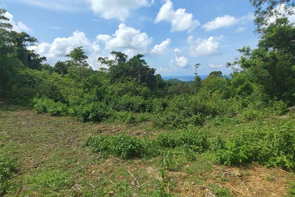 Land for Sale in Timbaon, San Juan, Siquijor – photo 3
