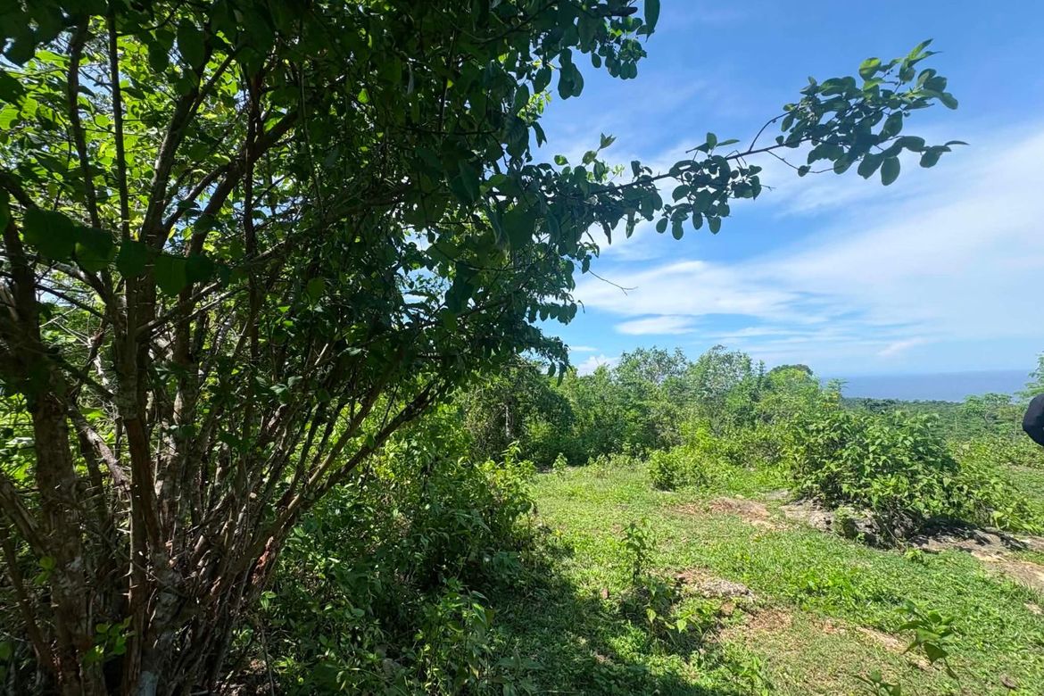 Land for Sale in Timbaon, San Juan, Siquijor – photo 7