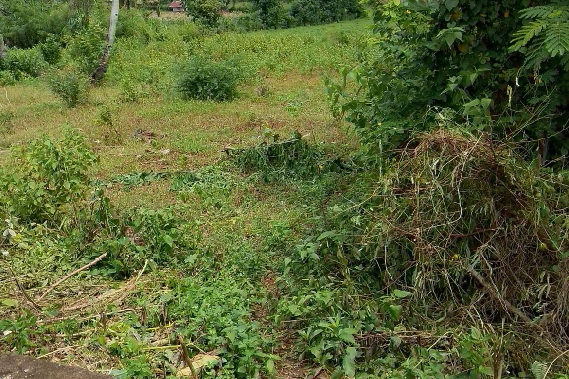 Land for Sale in Timbaon, San Juan, Siquijor – photo 6