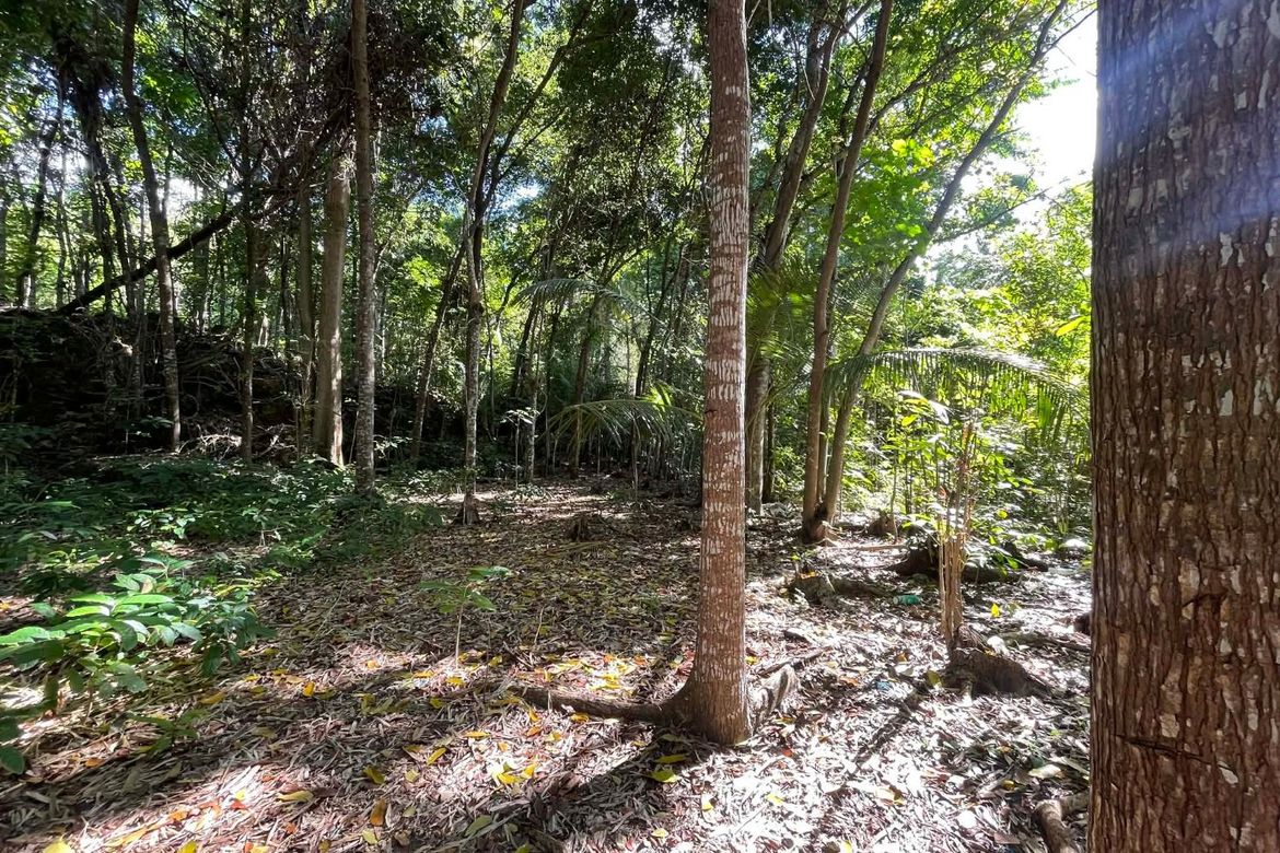 Land for Sale in Timbaon, San Juan, Siquijor – photo 2