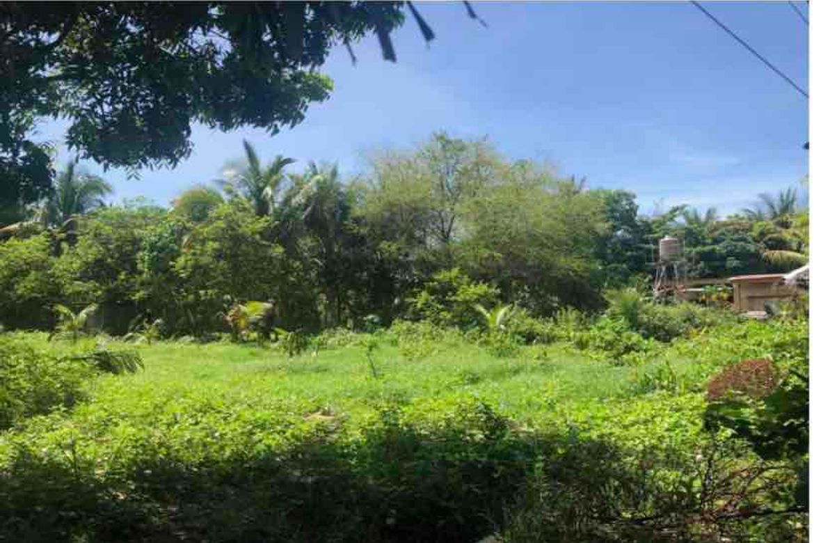 Land for Sale in Tinaan, Naga, Cebu – photo 4