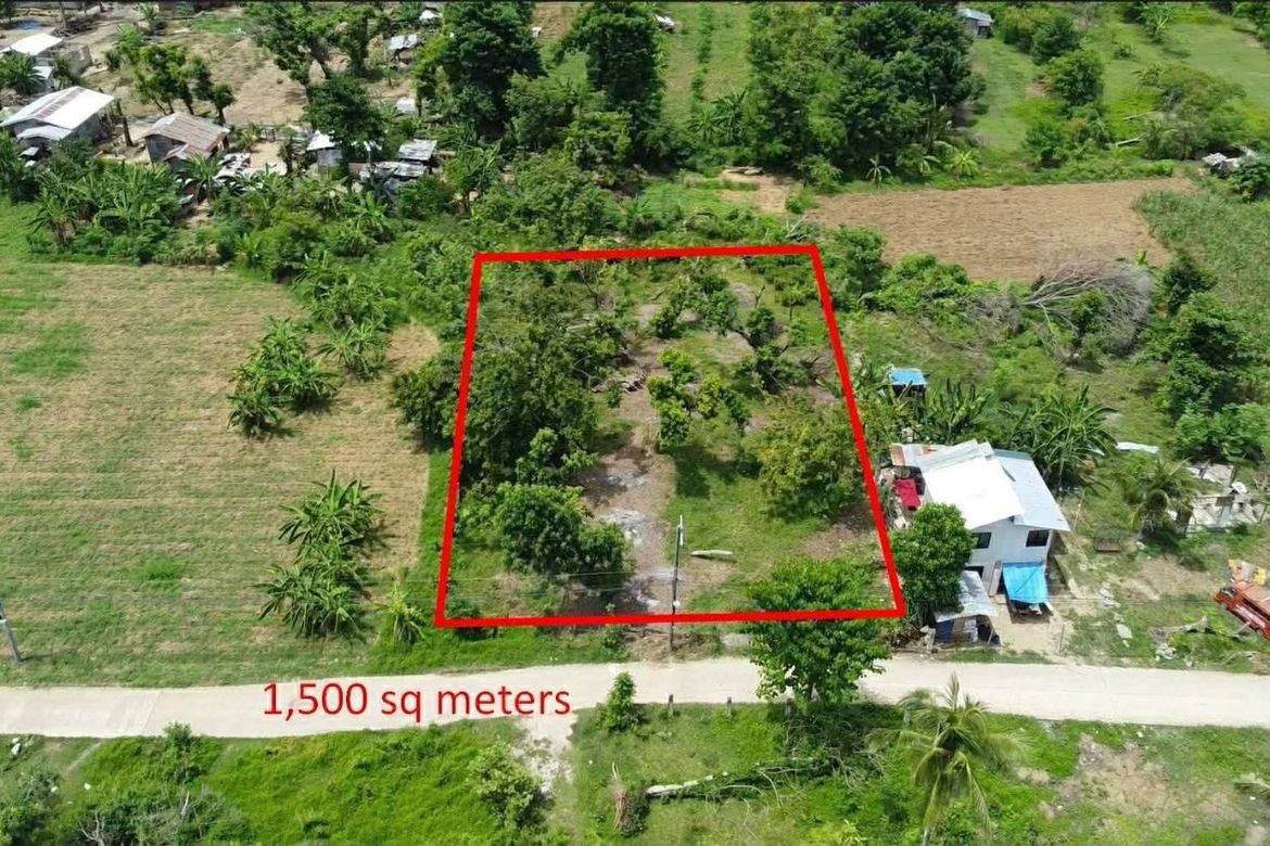 Land for Sale in Tinaan, Naga, Cebu