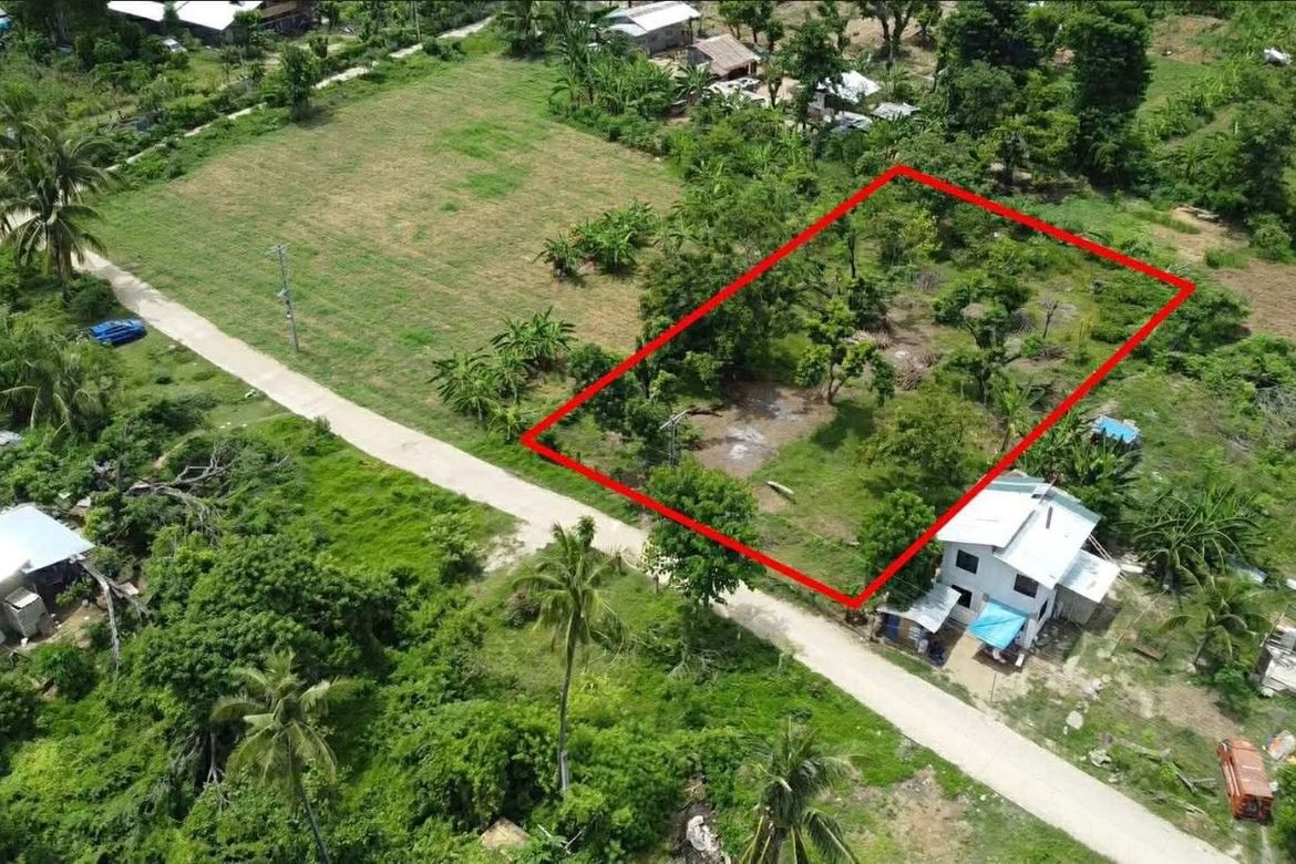 Land for Sale in Tinaan, Naga, Cebu – photo 5