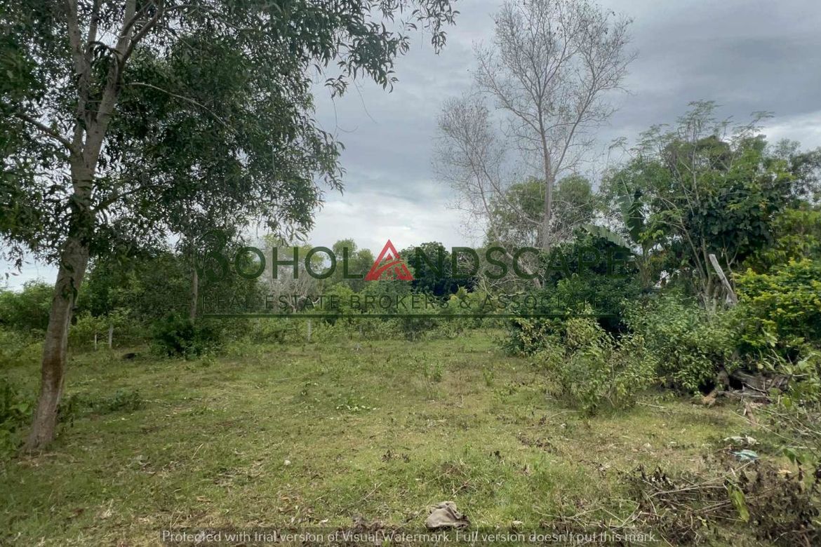 Land for Sale in Tinago, Dauis, Bohol