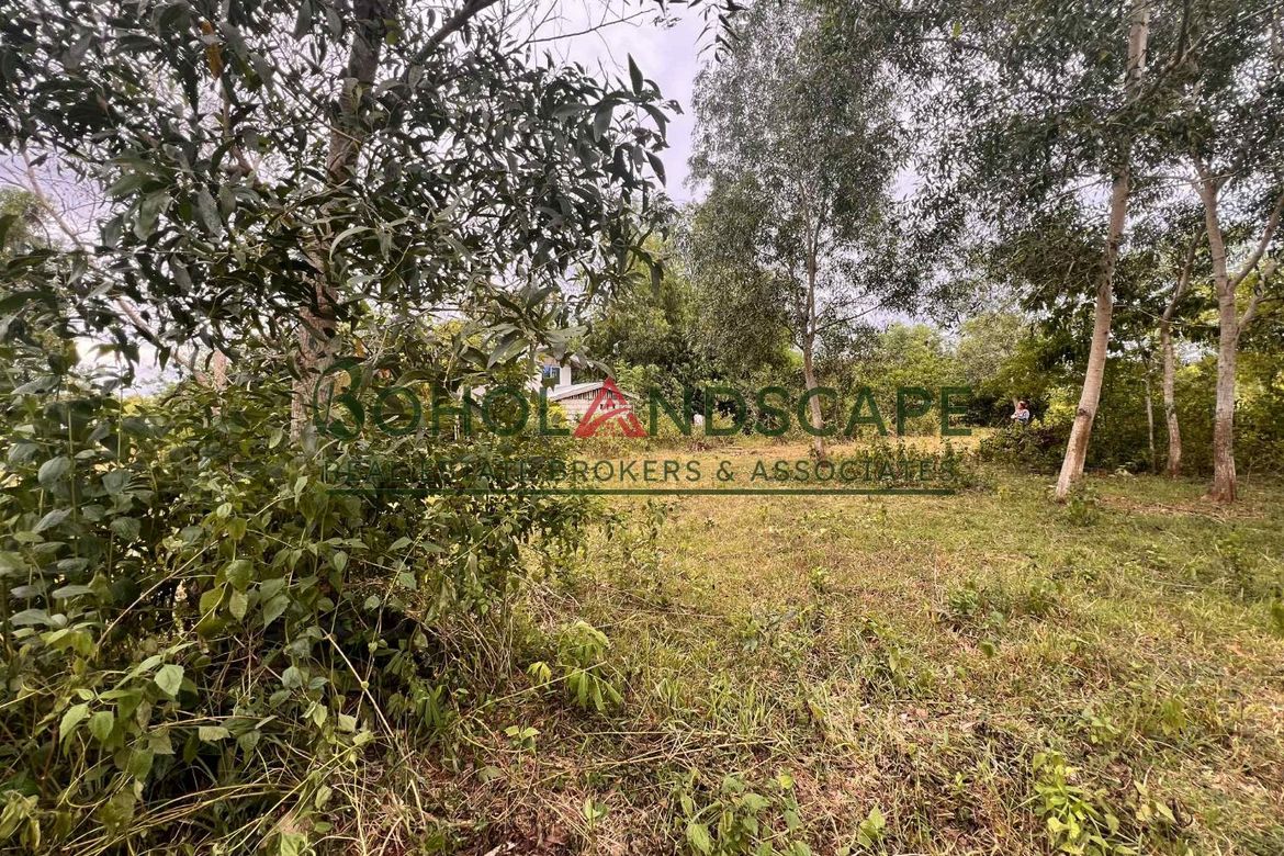 Land for Sale in Tinago, Dauis, Bohol – photo 4