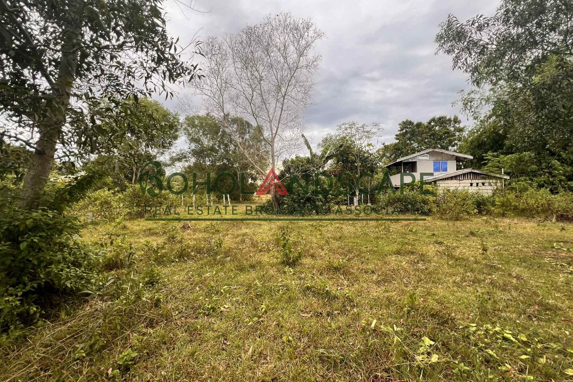 Land for Sale in Tinago, Dauis, Bohol – photo 5