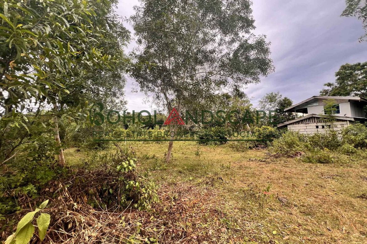 Land for Sale in Tinago, Dauis, Bohol – photo 7