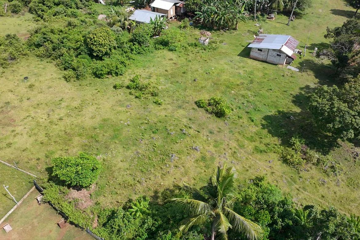 Land for Sale in Tinago, Dauis, Bohol