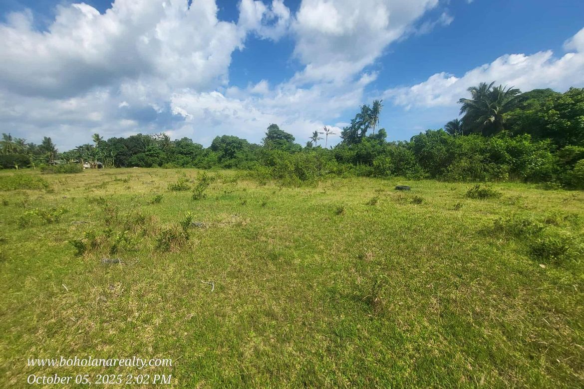 Land for Sale in Tinago, Dauis, Bohol – photo 3
