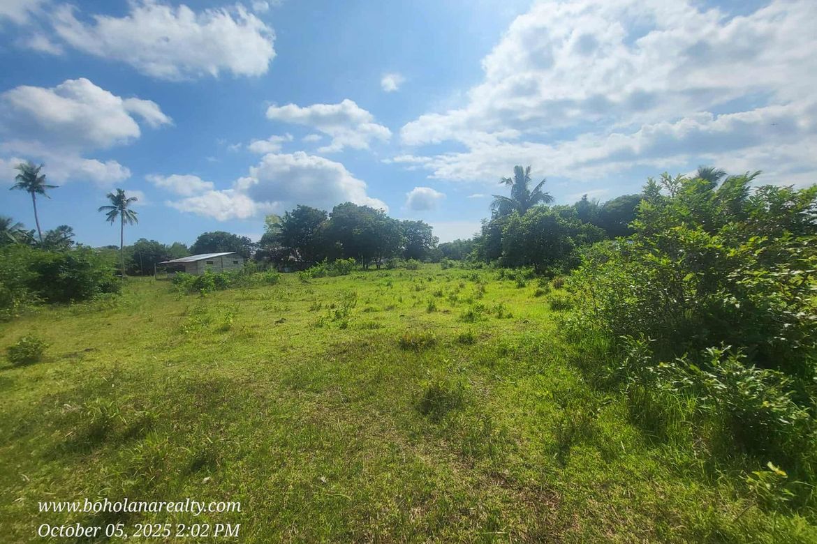 Land for Sale in Tinago, Dauis, Bohol – photo 5