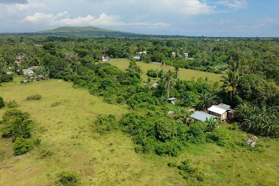 Land for Sale in Tinago, Dauis, Bohol – photo 6