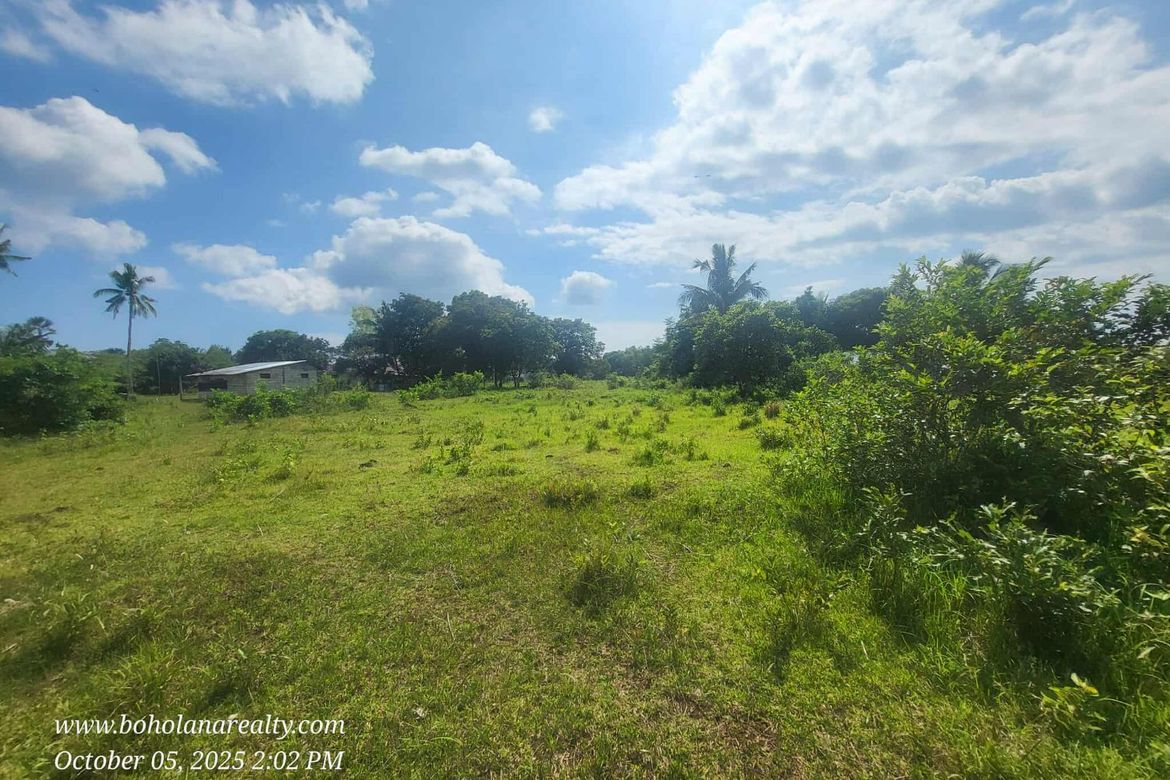 Land for Sale in Tinago, Dauis, Bohol – photo 7