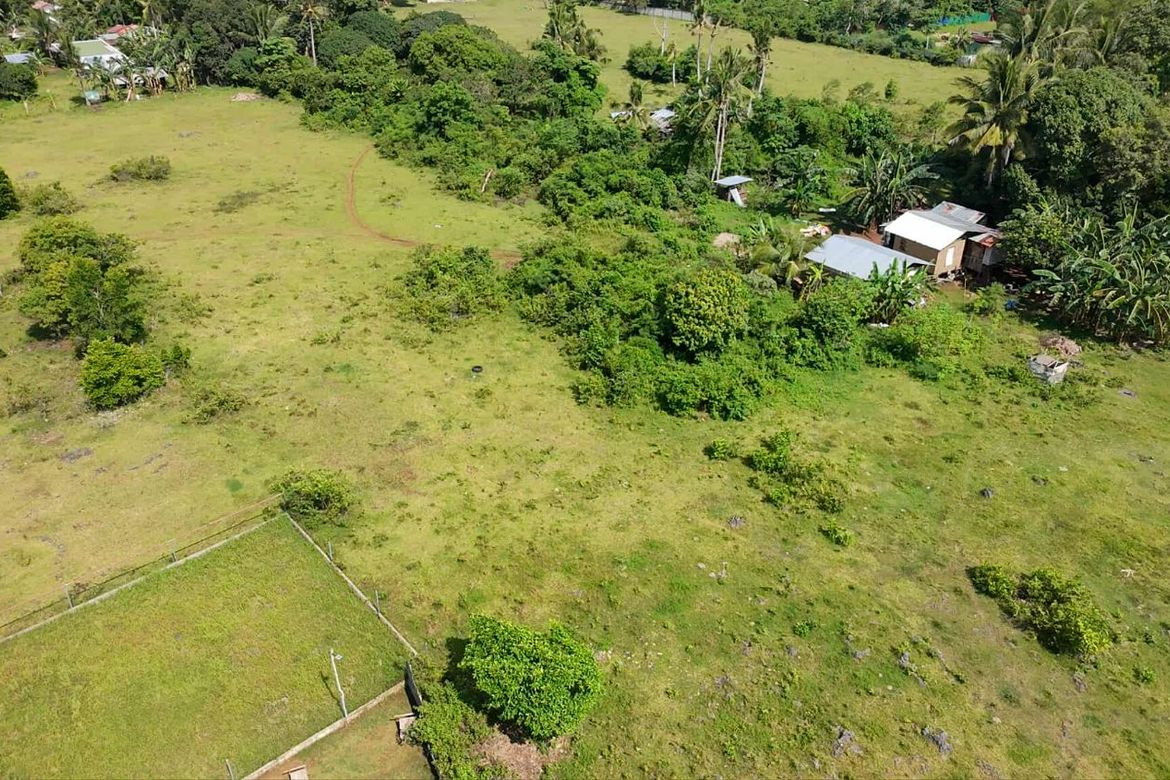 Land for Sale in Tinago, Dauis, Bohol – photo 8