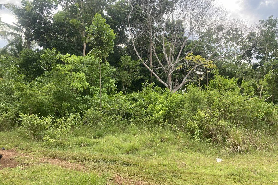Land for Sale in Tinago, Dauis, Bohol