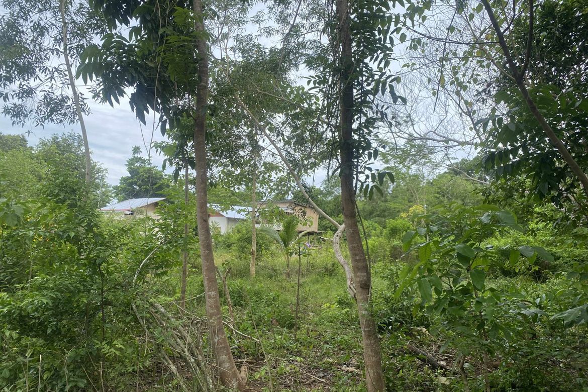 Land for Sale in Tinago, Dauis, Bohol – photo 2