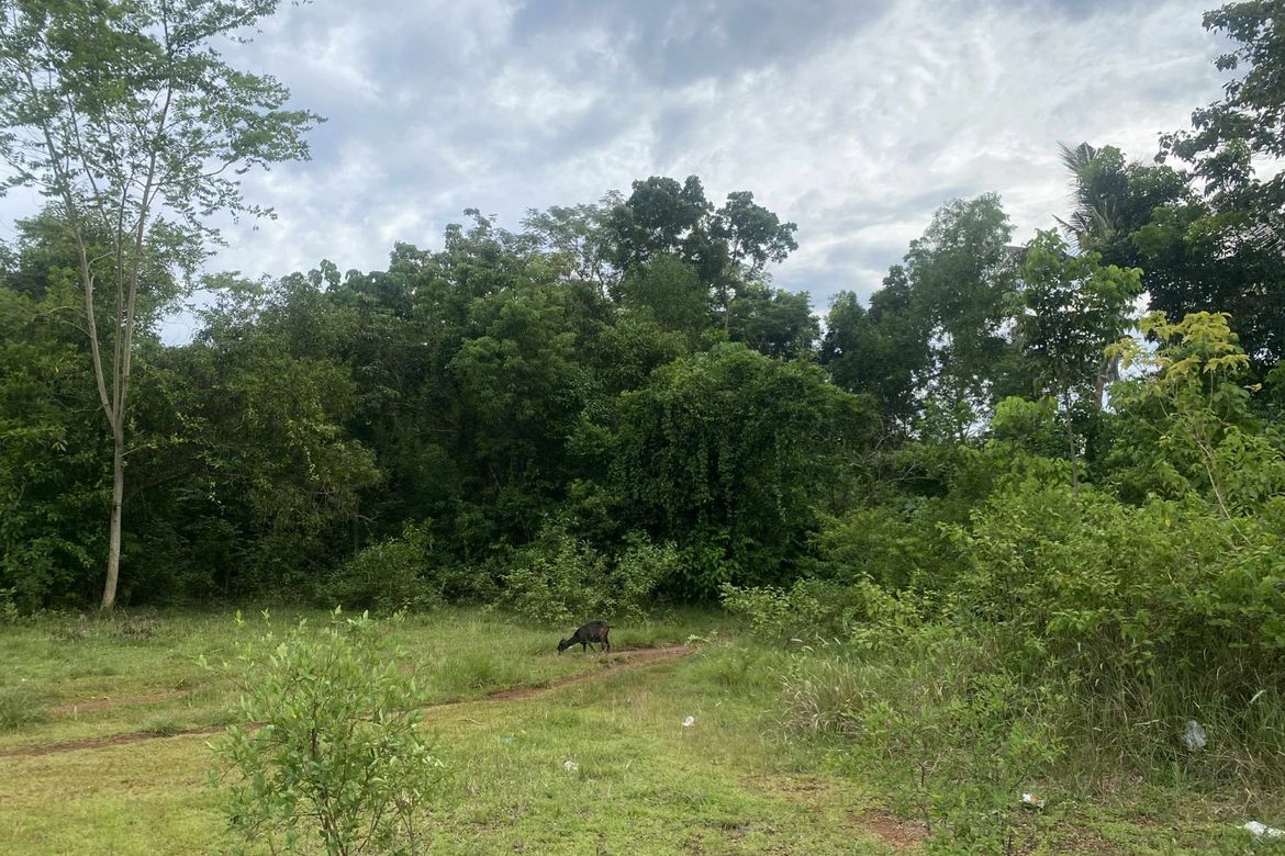 Land for Sale in Tinago, Dauis, Bohol – photo 4