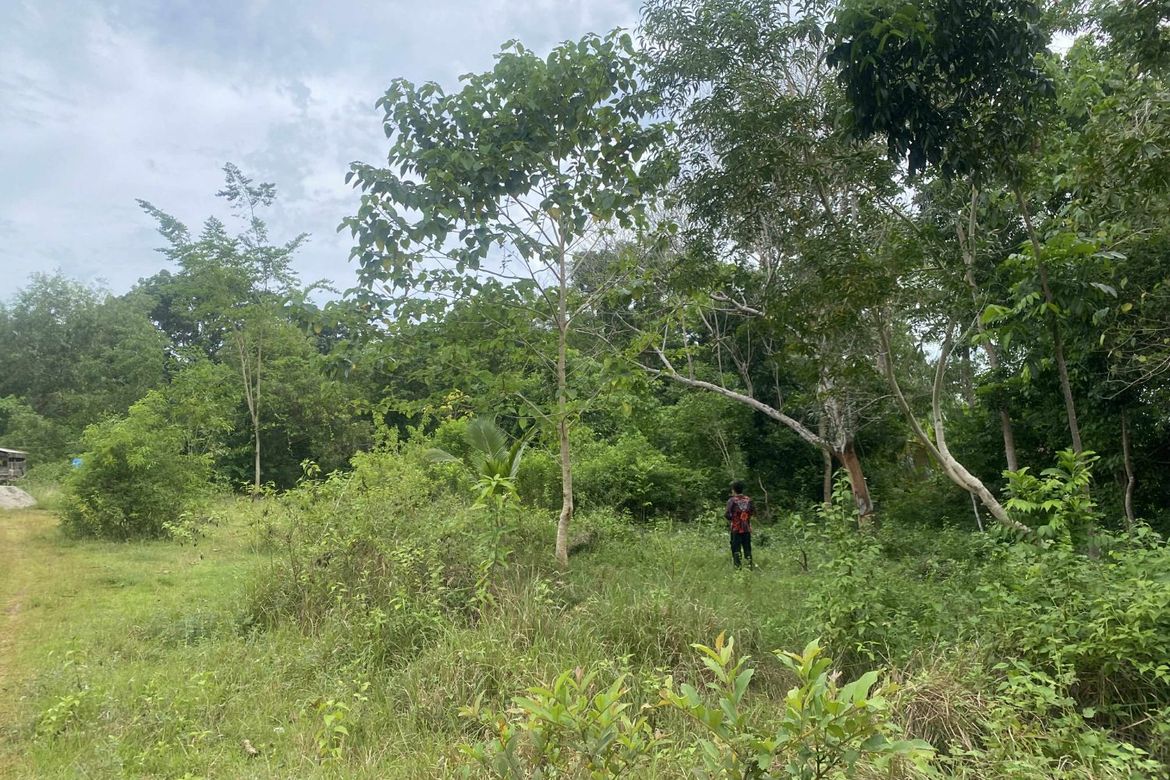 Land for Sale in Tinago, Dauis, Bohol – photo 6