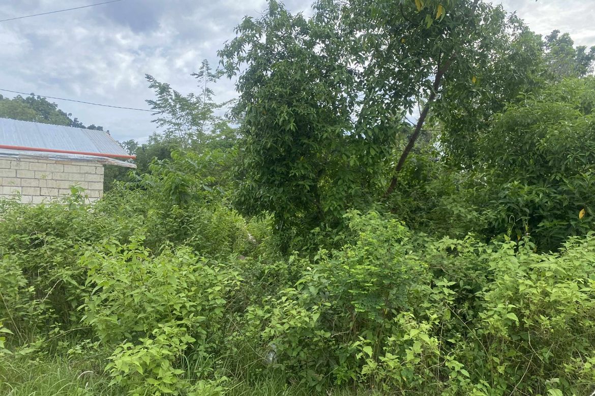 Land for Sale in Tinago, Dauis, Bohol – photo 8