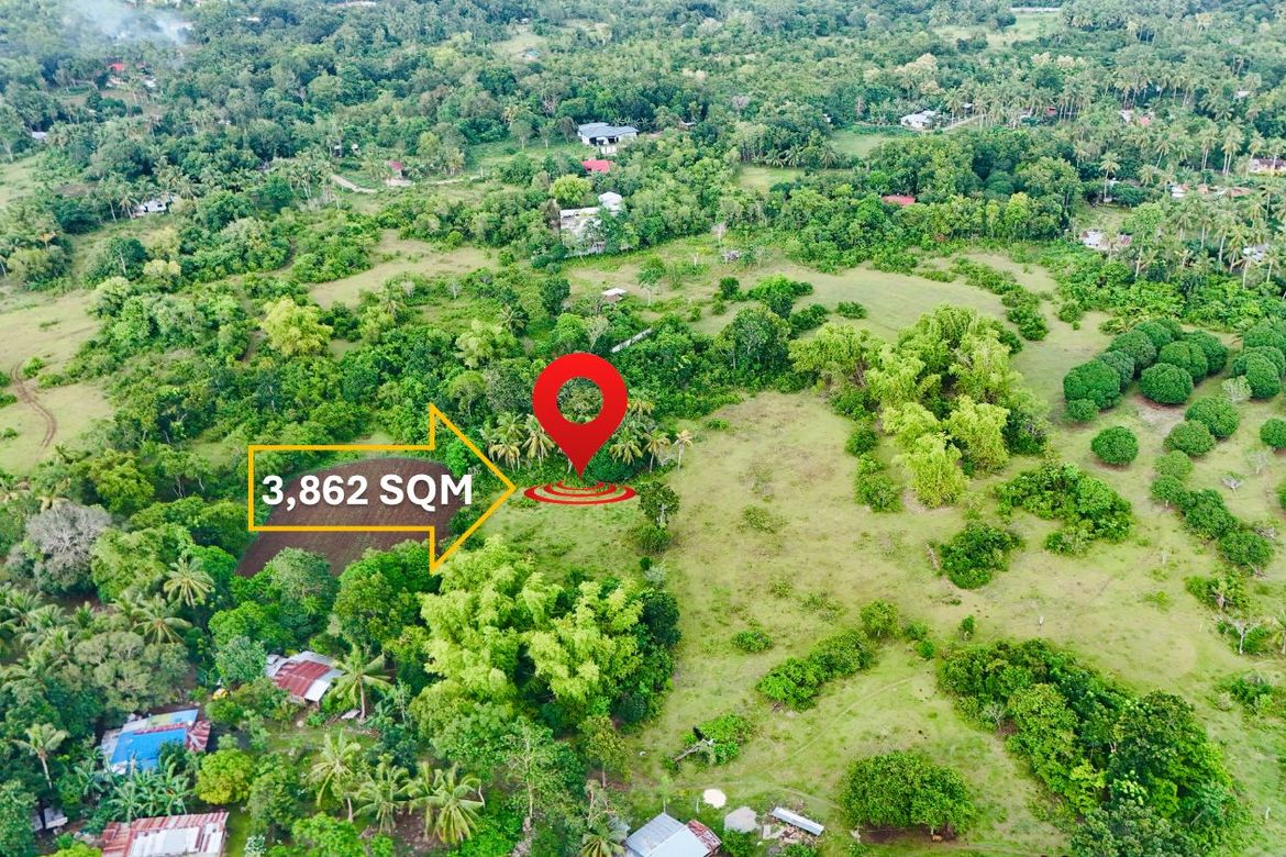 Land for Sale in Tinago, Dauis, Bohol – photo 2