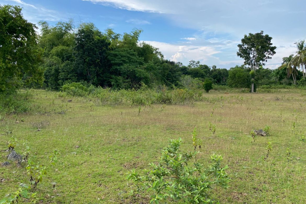 Land for Sale in Tinago, Dauis, Bohol – photo 5