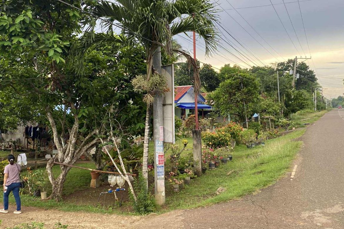 Land for Sale in Tinago, Dauis, Bohol – photo 2