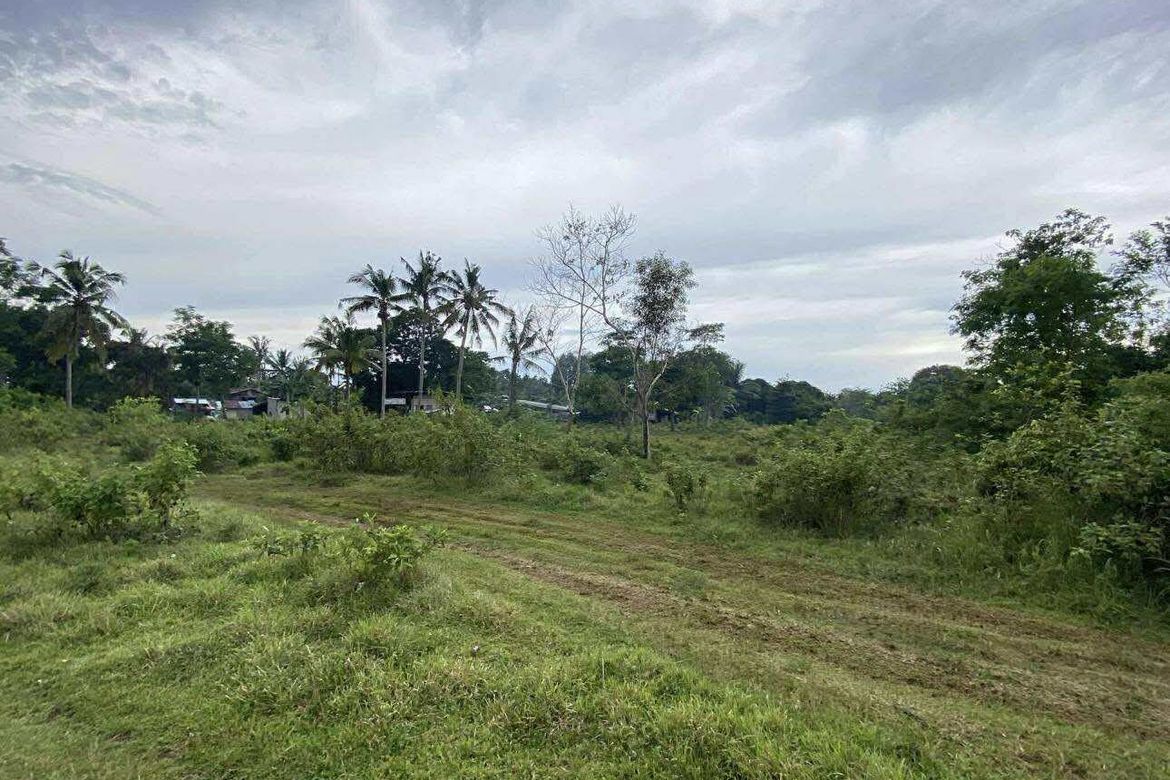Land for Sale in Tinago, Dauis, Bohol – photo 3