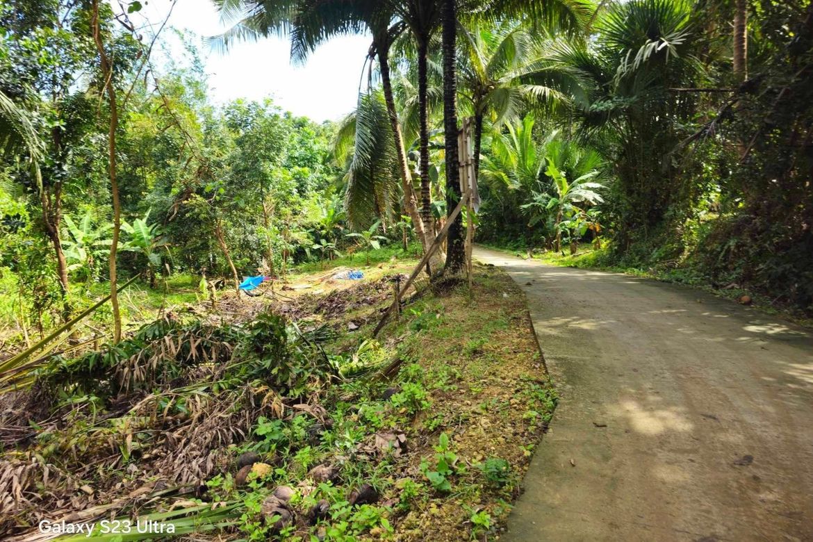 Land for Sale in Tinangnan, Tubigon, Bohol