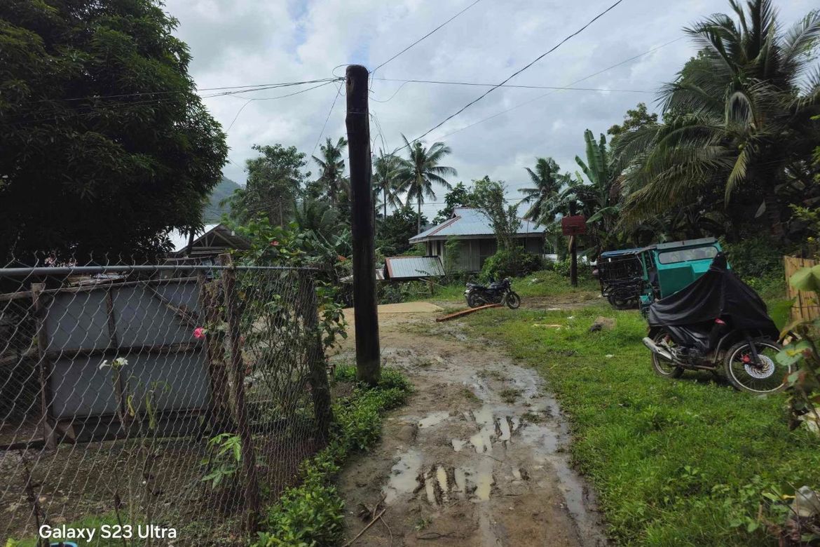 Land for Sale in Tinangnan, Tubigon, Bohol – photo 5
