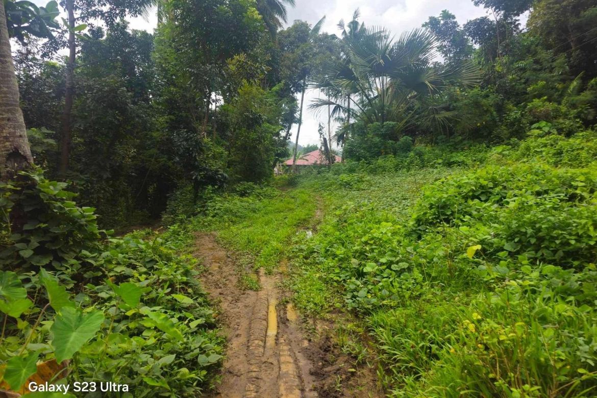 Land for Sale in Tinangnan, Tubigon, Bohol – photo 7
