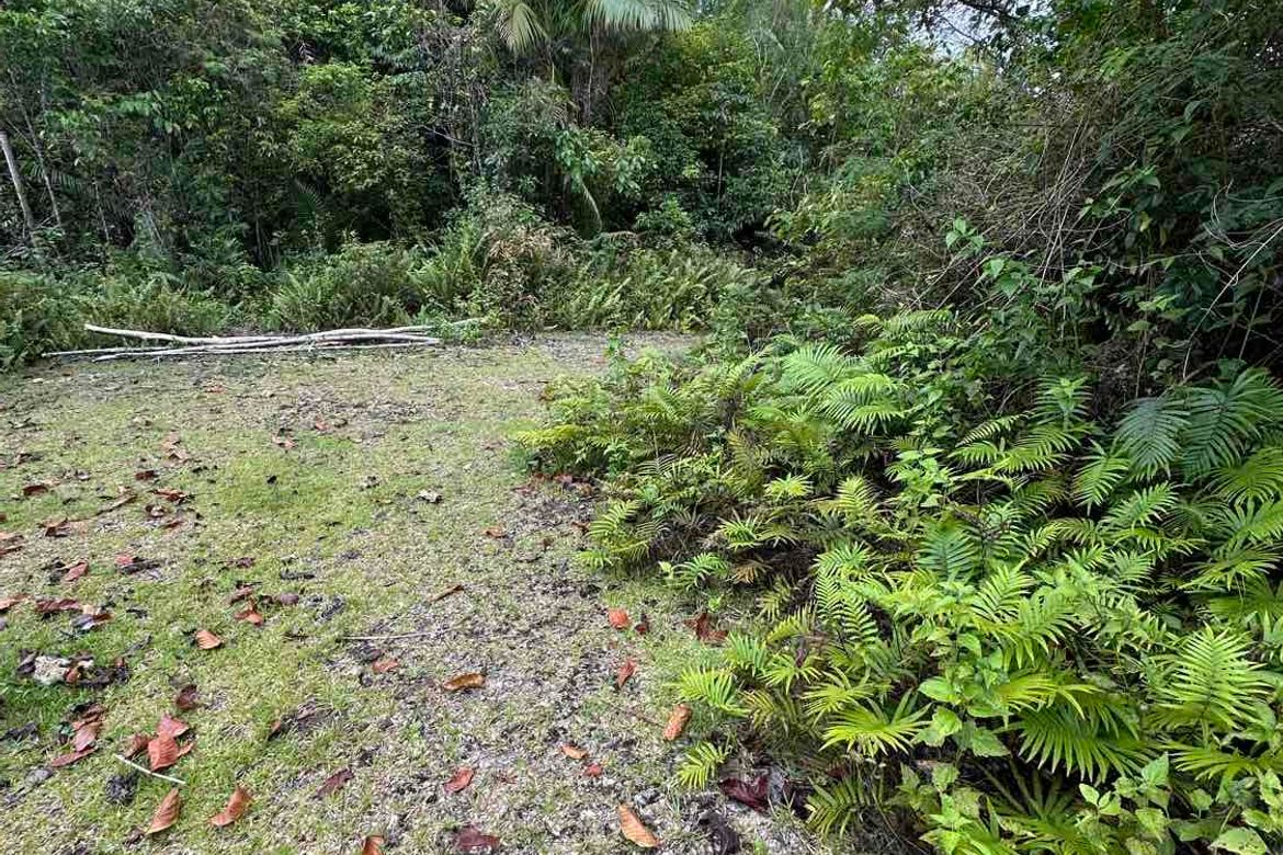 Land for Sale in Tinibgan, Maribojoc, Bohol