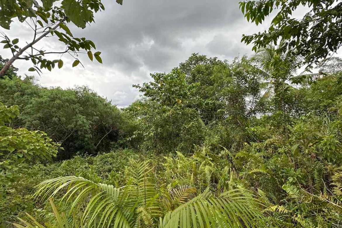 Land for Sale in Tinibgan, Maribojoc, Bohol – photo 2
