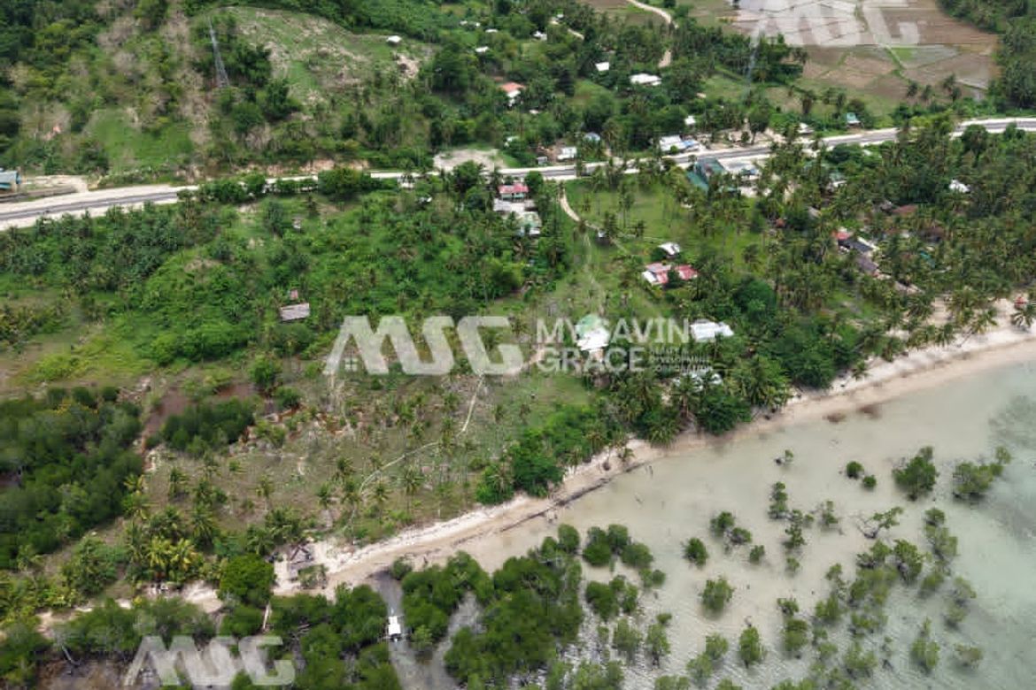 Land for Sale in Tinitian, Roxas, Palawan – photo 2