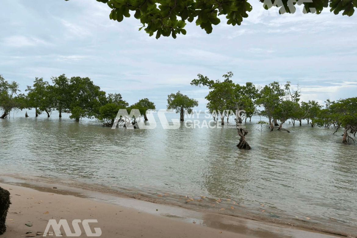Land for Sale in Tinitian, Roxas, Palawan – photo 6