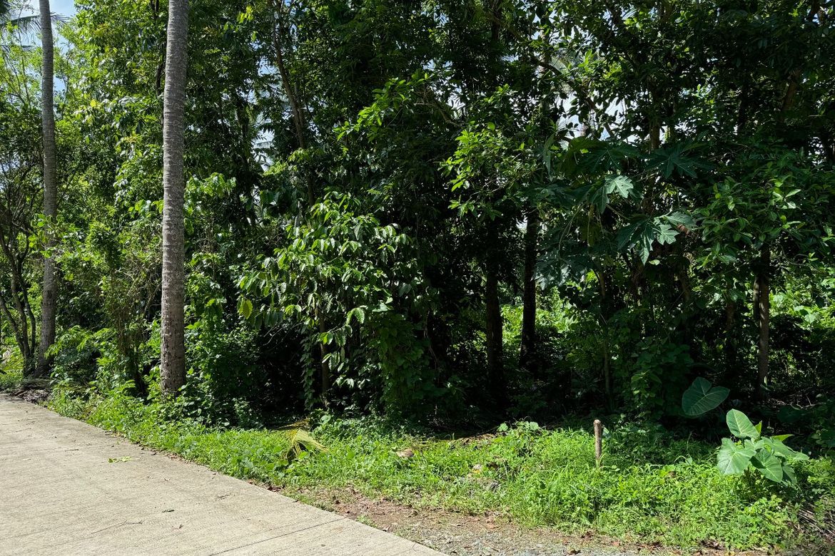 Land for Sale in Tipacan, Lipa, Batangas – photo 2