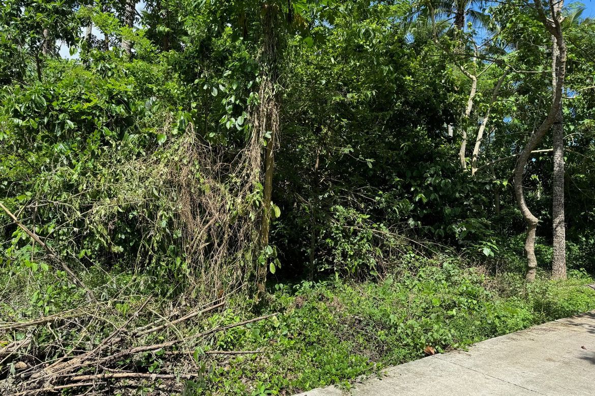 Land for Sale in Tipacan, Lipa, Batangas – photo 4