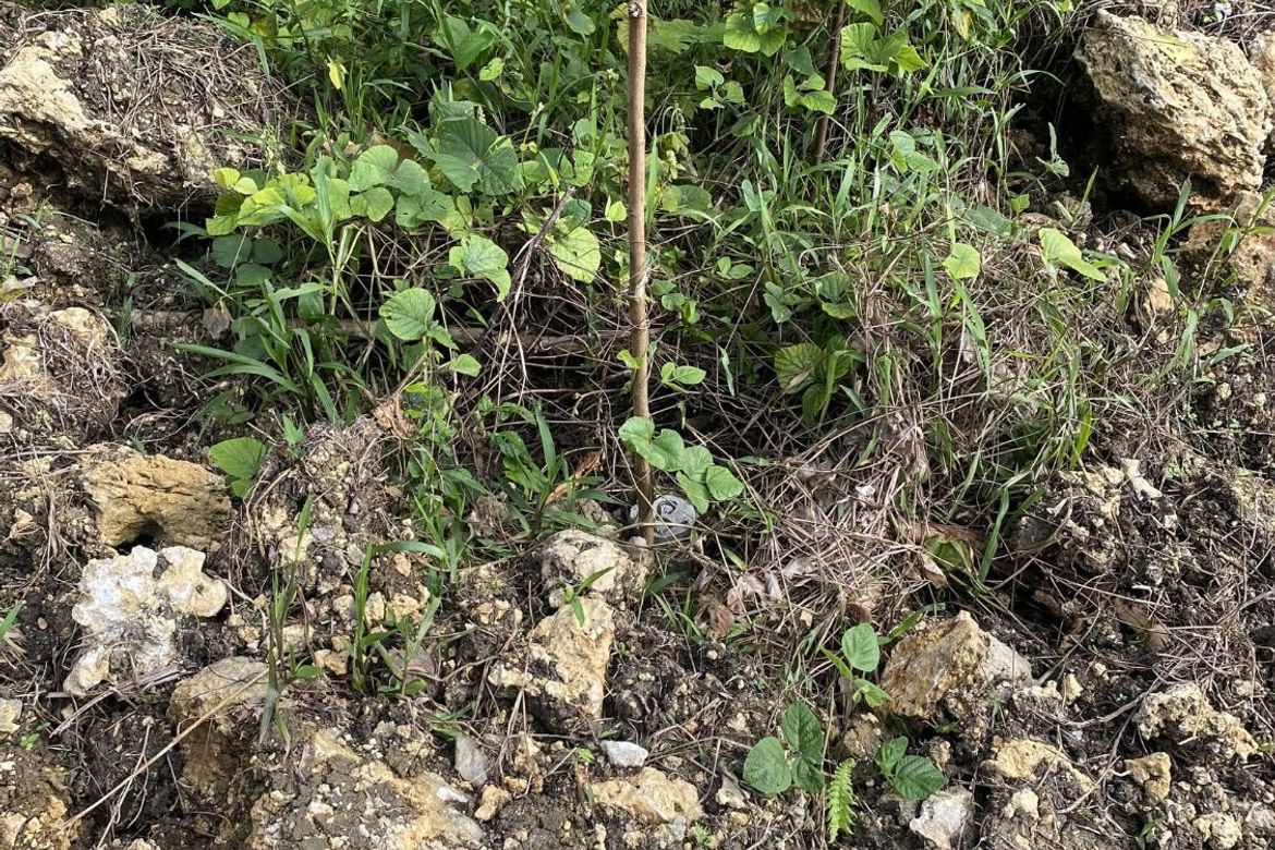 Land for Sale in Tiptip, Tagbilaran, Bohol – photo 5