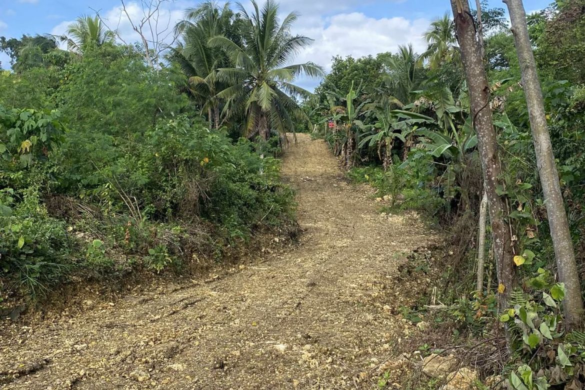 Land for Sale in Tiptip, Tagbilaran, Bohol – photo 7