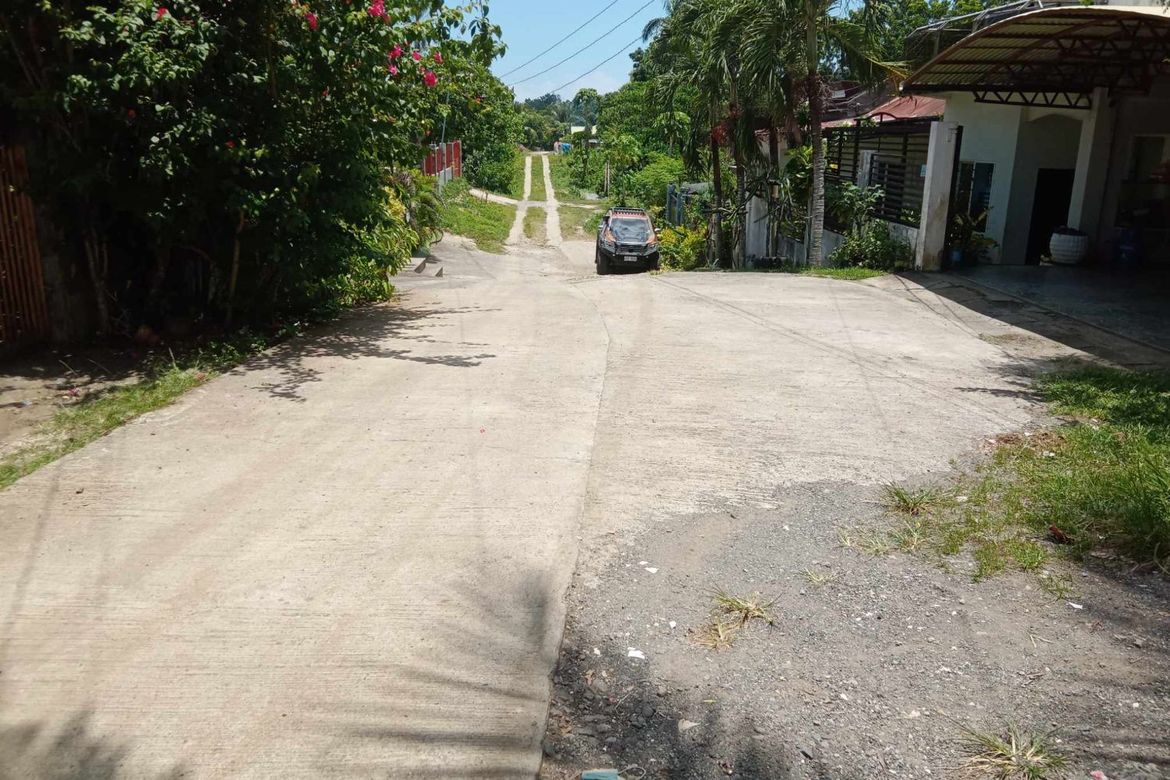 Land for Sale in Tiptip, Tagbilaran, Bohol – photo 2